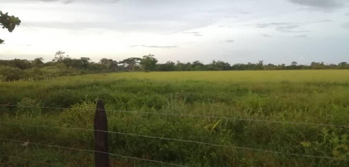 Imagen 15 de 17 de De Oportunidad Vendo Finca En El Cantón 283 Hectáreas Ah