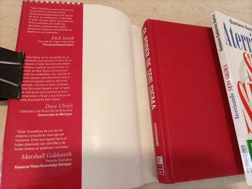 Libros. Dos Ejemplares Sobre Seis Sigma (Usado)
