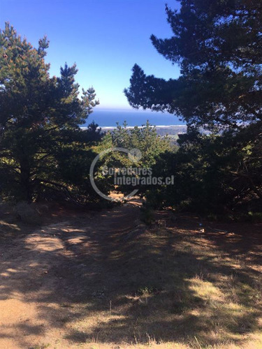 Sitio De 5.300 M2 En Venta En Pichilemu