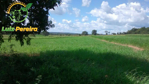 Imagem 3 de 15 de Fazenda À Venda Em Camapuã - Ms - 187 Hec (dupa Aptidão) - 1939