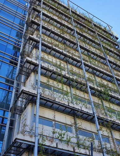 Imagen 3 de 13 de Alquiler De Oficinas | Libertador 6350 | 4 Pisos | 4.400 M2