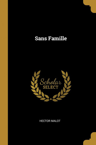  Sans Famille  -  Malot, Hector 