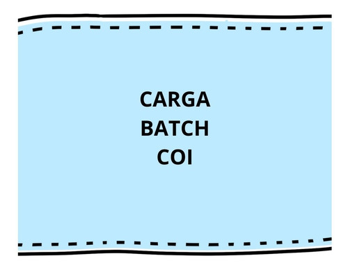 Carga Batch Coi