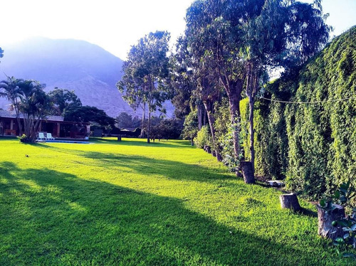 Imagen 8 de 8 de Se Alquila Casa De Campo En Cieneguillla