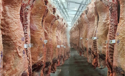 Virginiamicina + Monensina Promotor De Engorda Em Pó 20 Kg