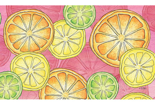 Toland Home Garden 800230 Citrus Toss Summer Door Mat 18x30 