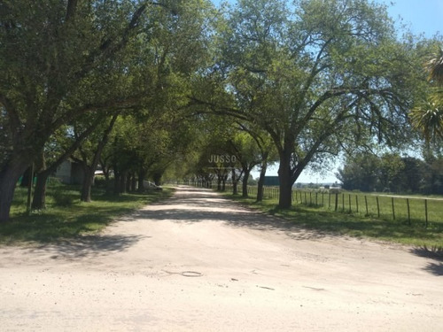 Imagen 8 de 15 de Lote Barrio Colinalegre Venta 740m2