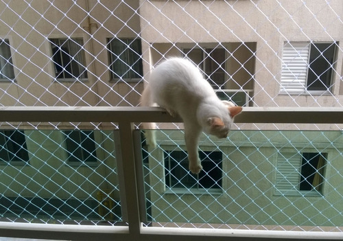 Imagen 3 de 7 de Cerco Bebe Niño Gato Red De Seguridad Balcon Piscina Pileta
