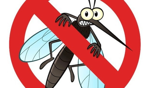 200 Sementes De Crotalaria Contra Dengue, Chikungunya Zica