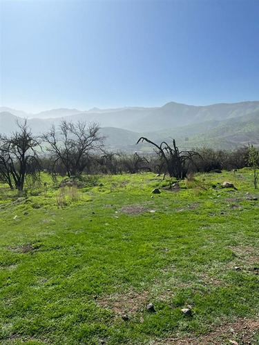 Sitio En Venta En Santa María De Chamisero