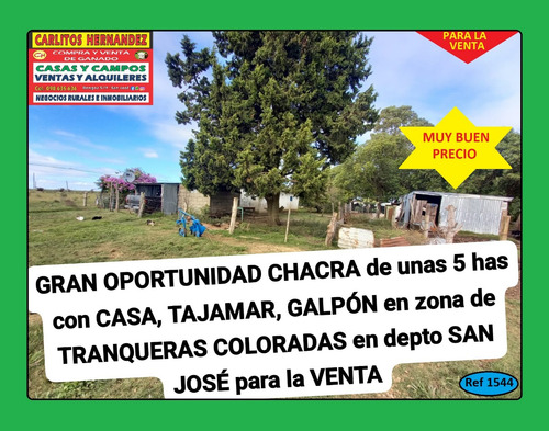 2) Apartamentos, Locales Comerciales, Terrenos, Casas, Chacras, Campos, Galpones, Estancias, P.h. , Para La Venta Y Para Alquilar, Arrendar, En San José