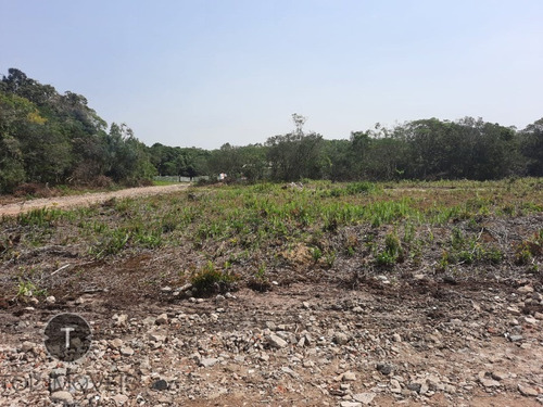Imagem 7 de 12 de Terreno A Venda No Bairro Tupy Em Itanhaém, Com Entrada De R$ 4.000,00 Reais E Parcelas De R$ 549,00 Reais Fixas. - Te00040 - 70170433
