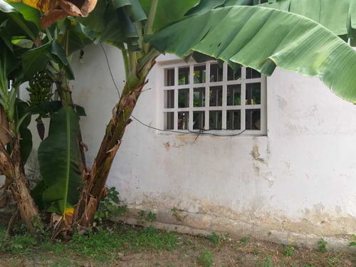 Imagen 3 de 25 de Casa En Las Mayas En El Limon En Maracay