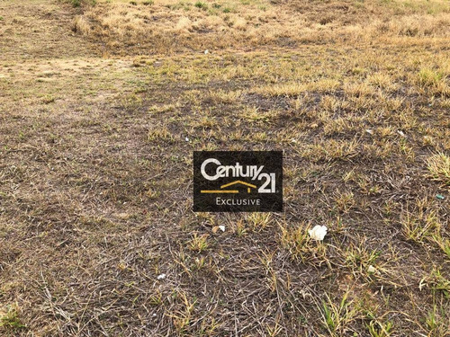 Imagem 3 de 10 de Terreno À Venda, 695 M² Por R$ 850.000,00 - Jardim Veneza - Indaiatuba/sp - Te0305