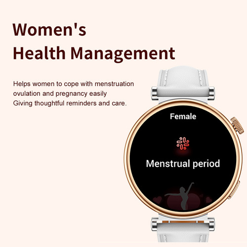 Reloj Inteligente Amoled Screen Gt4 Mini 41 Mm Para Mujer Nf