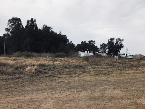 Imagen 2 de 16 de Espectacular Lote En Riestra! 40 X 109.36 Emprendimientos Varios