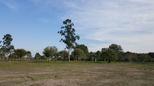 Imagen 2 de 18 de últimos Terrenos En Venta En San Andrés. Colonia Benítez