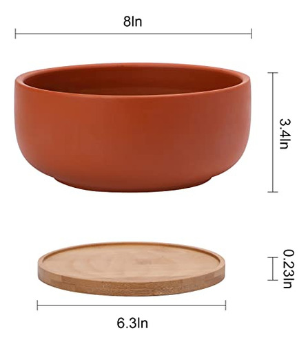 Maceta Terracota 20 Cm Con Orificio Drenaje Y Platillo Bambo
