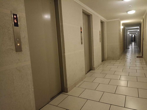 Lindo Departamento (85317)