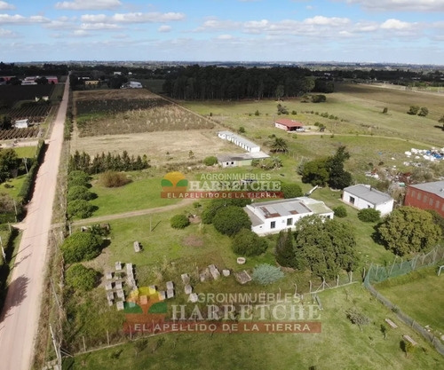 Chacra 4 Has Cno Calpino En Montevideo Rural