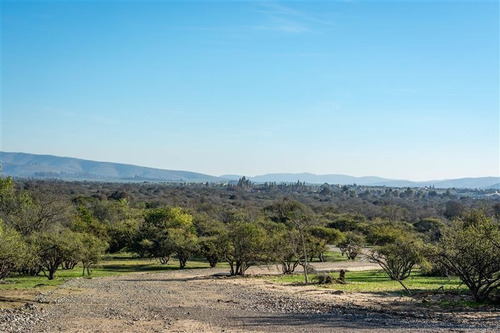 Imagen 26 de 28 de Agrícola En Venta En Zapallar