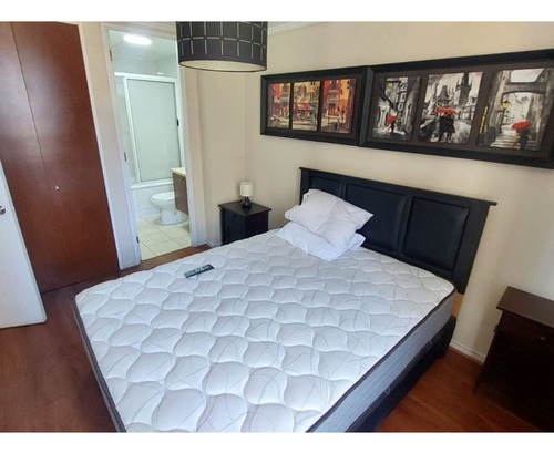 Arriendo Amoblado 2d 2b Metro Santa Ana