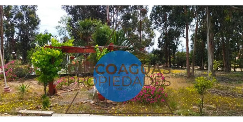 Oportunidad De Arriendo En Catapilco Zapallar