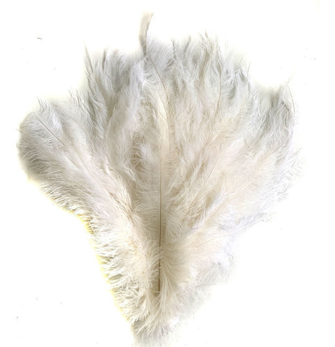 Plumas De Avestruz Flex Festa Carnaval Pronta 062 Cor Branco