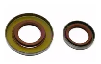 Comprar Kit Retenes Para Stihl Ms382