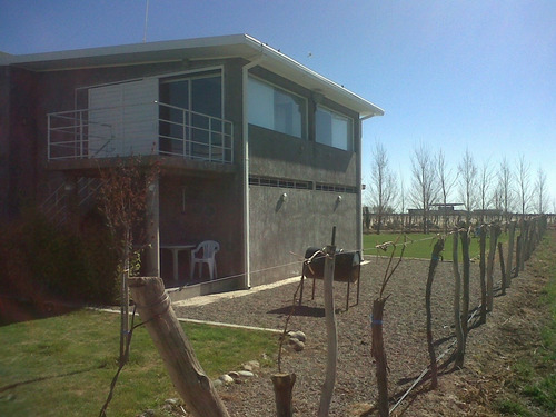 Imagen 3 de 8 de El Cepillo, 51 Has Uvas Finas