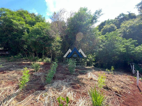 Imagem 5 de 7 de Chácara À Venda, 1120 M² Por R$ 130.000,00 - Zona Rural - Londrina/pr - Ch0284