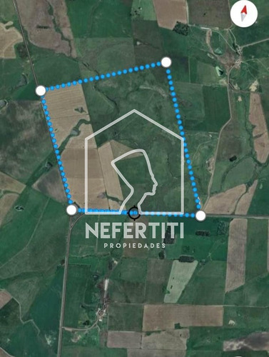 150 Hectareas A 12km De Florida 