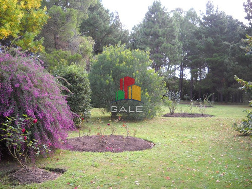 Imagen 5 de 30 de Venta Chacra Punta Del Este - Zona Rural