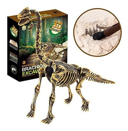 Brontosaurio Kit Juguete Educativo Excavación Dinosaurios 