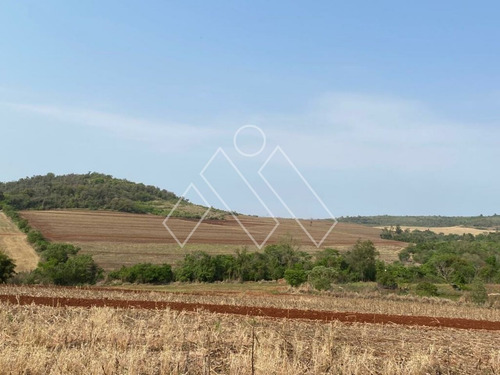 Imagem 8 de 8 de Fazenda Para Plantio Próximo A Londrina (71,05 Alqueires) - Mi1373