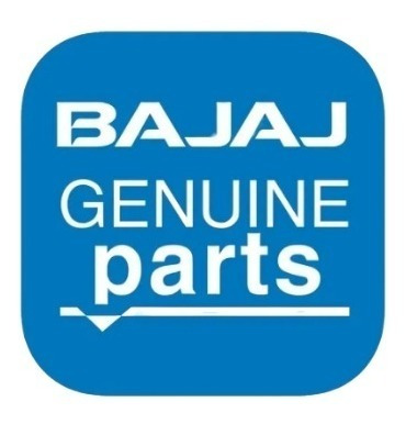 Zapata Freno Trasero Originales P/ Bajaj Rouser 135/220 Full