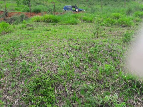 Imagem 7 de 10 de Chacara - Paraiso - Ref: 4980 - V-anp4980