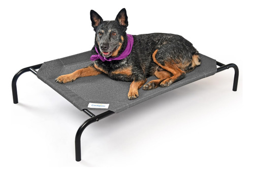 Coolaroo Cama Elevada Y Refrescante Para Perros, Para Interi