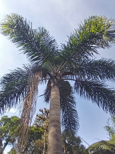 Area No Recreio Da Serra, Próximo De Curitiba
