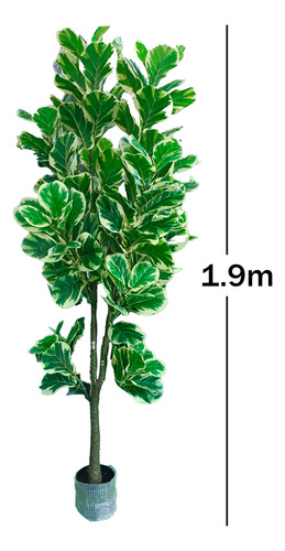 Hoja De Higuera C/borde Blanco Arbol Artificial 1.9m+maceta