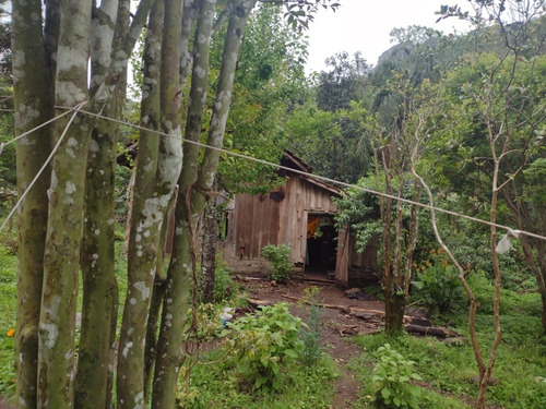 Imagem 1 de 14 de Sítio Com 14 He Bera Do Rio Garapia A 2km Da Cascata.