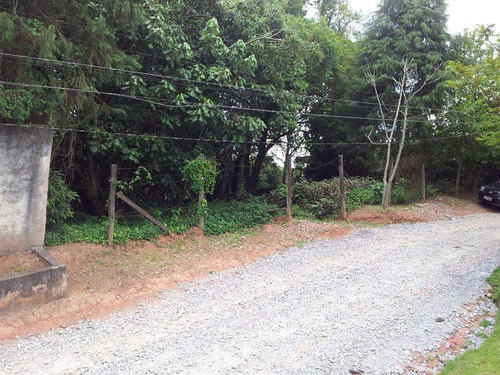 Imagem 4 de 6 de Terreno À Venda, 1150 M² Por R$ 407.000,00 - Chácara De La Rocca - Carapicuíba/sp - Te0681