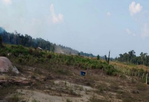 Imagem 11 de 14 de Fazenda Com 101.000 Hectares No Norte Do Brasil