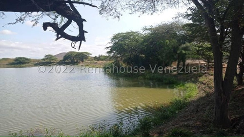 Imagen 22 de 30 de Fina En Venta Quibor Estado Lara, 04245937542