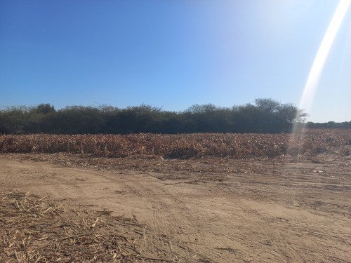 Flores Propiedades Vende Finca En Taquello (a 11 Kms. De Termas De Rio Hondo)