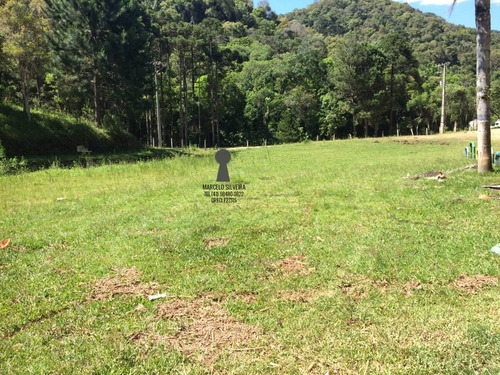 Chácara A Venda No Bairro Centro Em Bocaiúva Do Sul - Pr. - 402-1