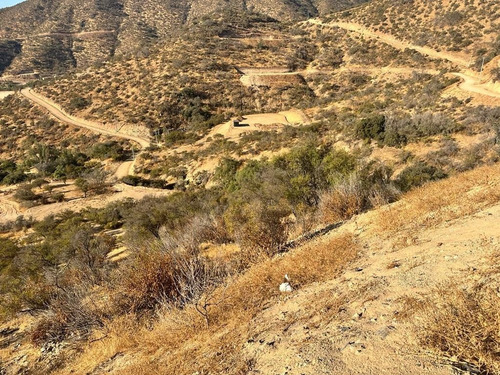 Vende Parcela Con Lomaje Suave De Una Hectarea En Los Maquis