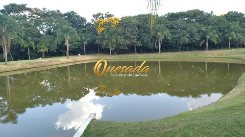Imagem 15 de 20 de Terreno - Te00386 - 70378580