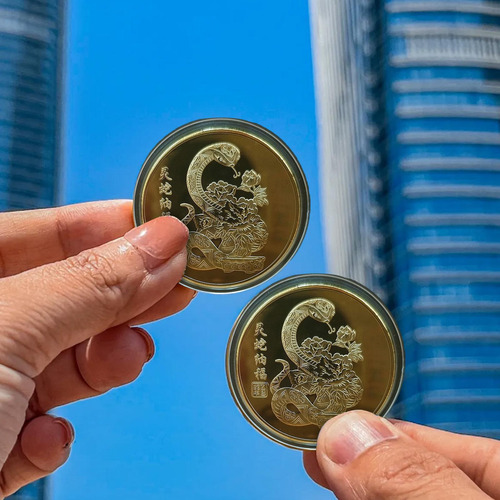 Moneda Del Año Nuevo Lunar Moneda De La Suerte Moneda Conmem