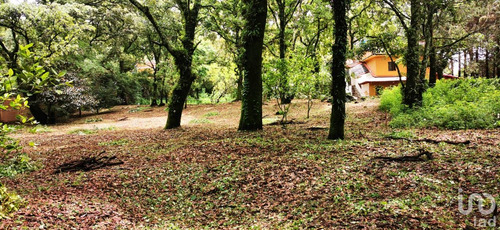 Venta Terreno 0 Ambiente Los Ocotes